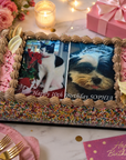 Large sponge cake with edible photo on top of dog and cake. Pink icing and rainbow sprinkle sides.