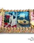 Large decorative birthday cake with images of a cat and a dog, featuring the text 'Happy 10th Birthday Sophia'.