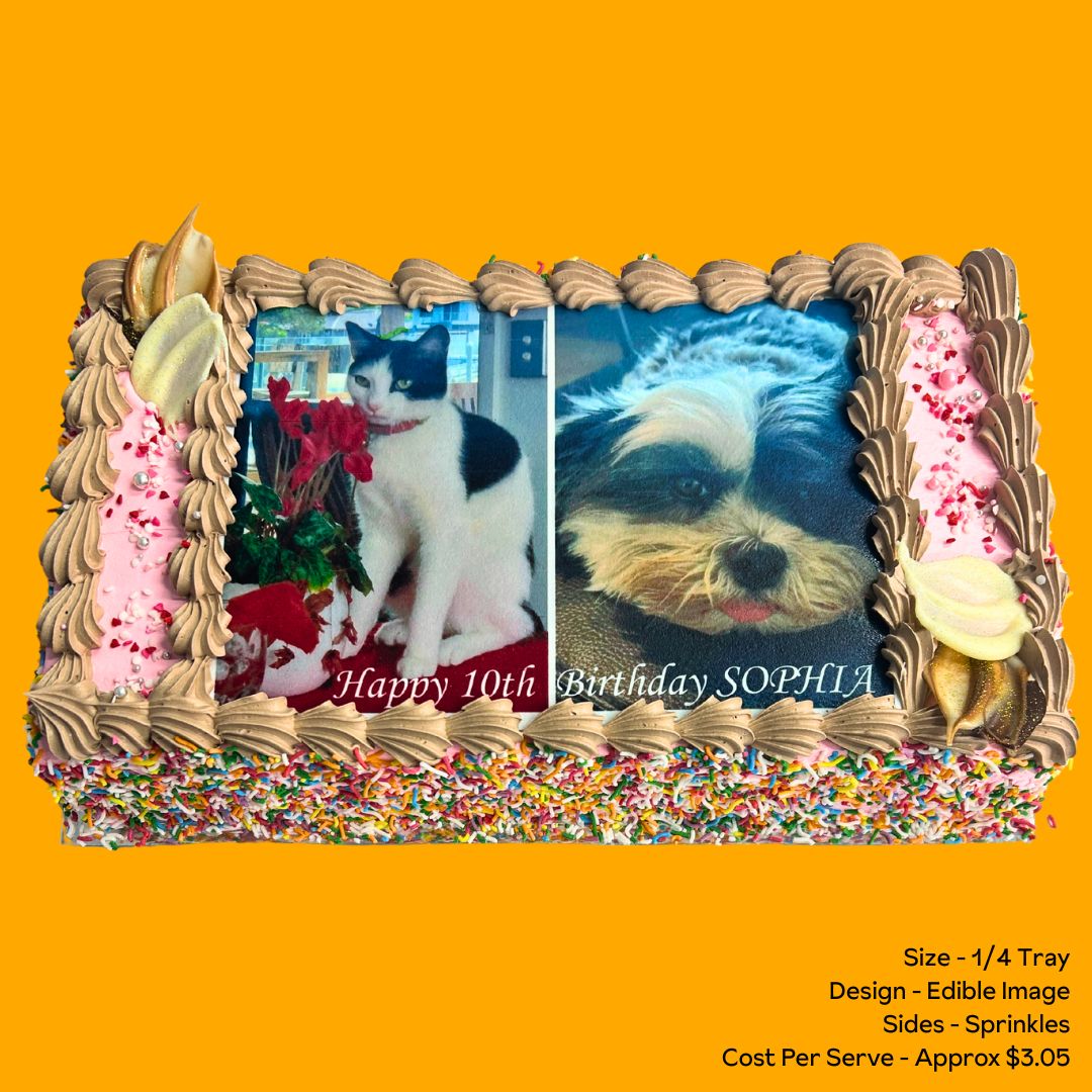 Sponge Cake 1/4 Tray Sprinkles Edible Image