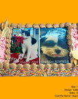 Sponge Cake 1/4 Tray Sprinkles Edible Image