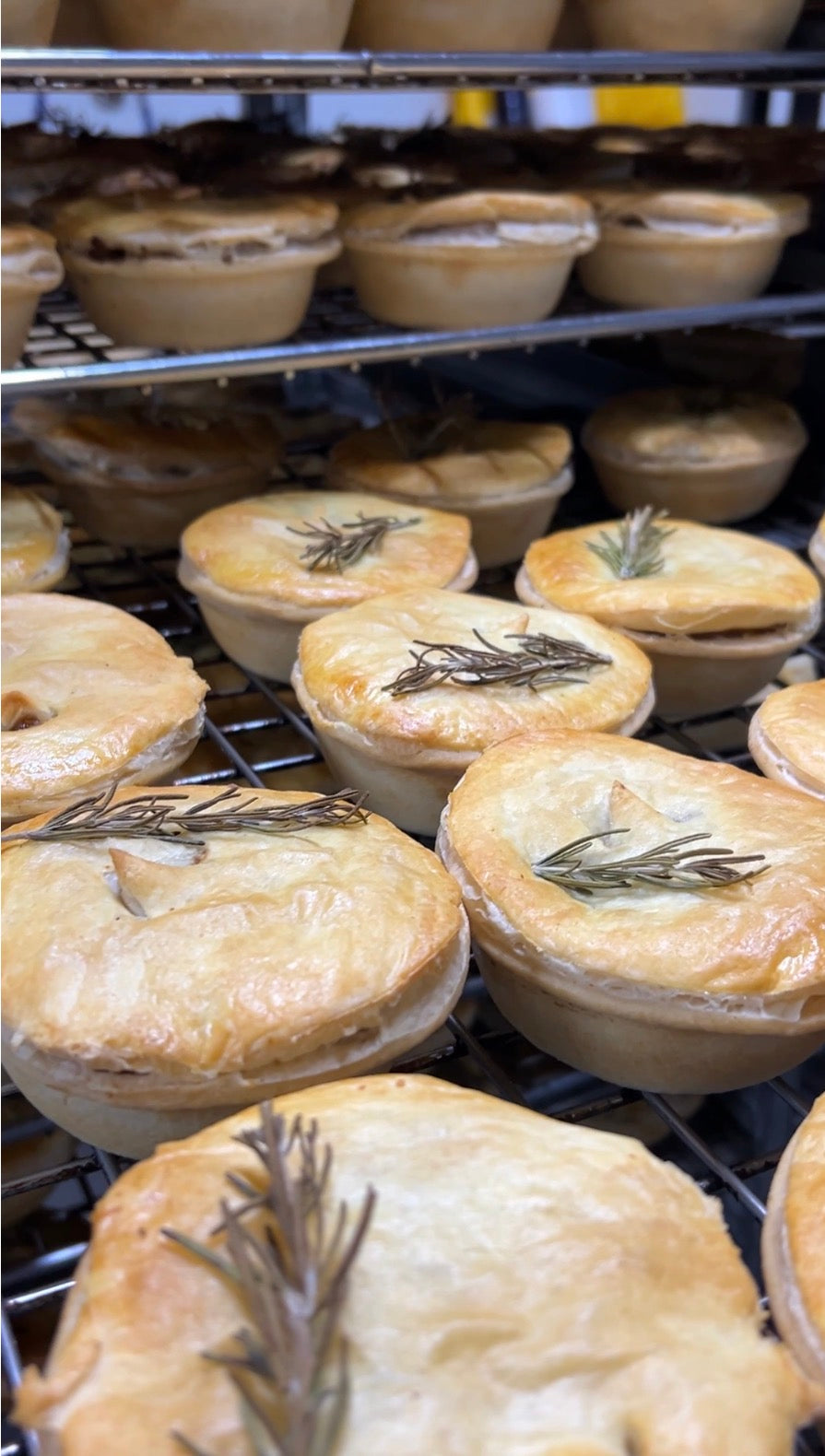 Gold Coast Wholesaling Bakery Pies 